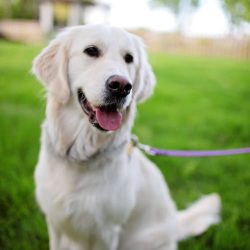 Bce99bcb 76ee 4d81 9899 9083e9bac9d3 218 00000057e31531d2